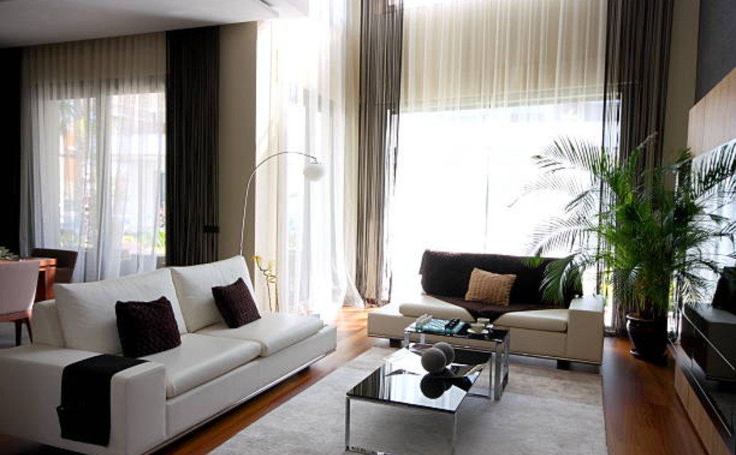 Modern living room interior with sofa and coffee table Cleaning