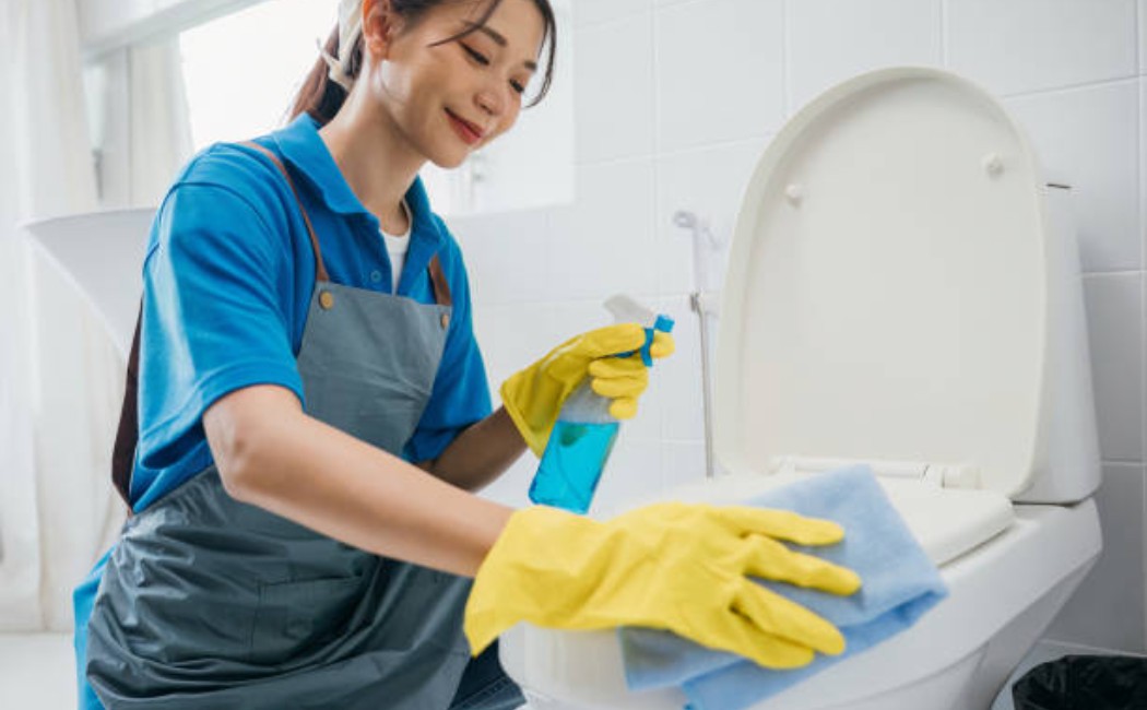 A domestic cleaner cleaning the toilet with a cloth and gloves